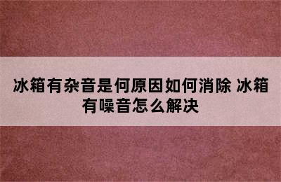 冰箱有杂音是何原因如何消除 冰箱有噪音怎么解决